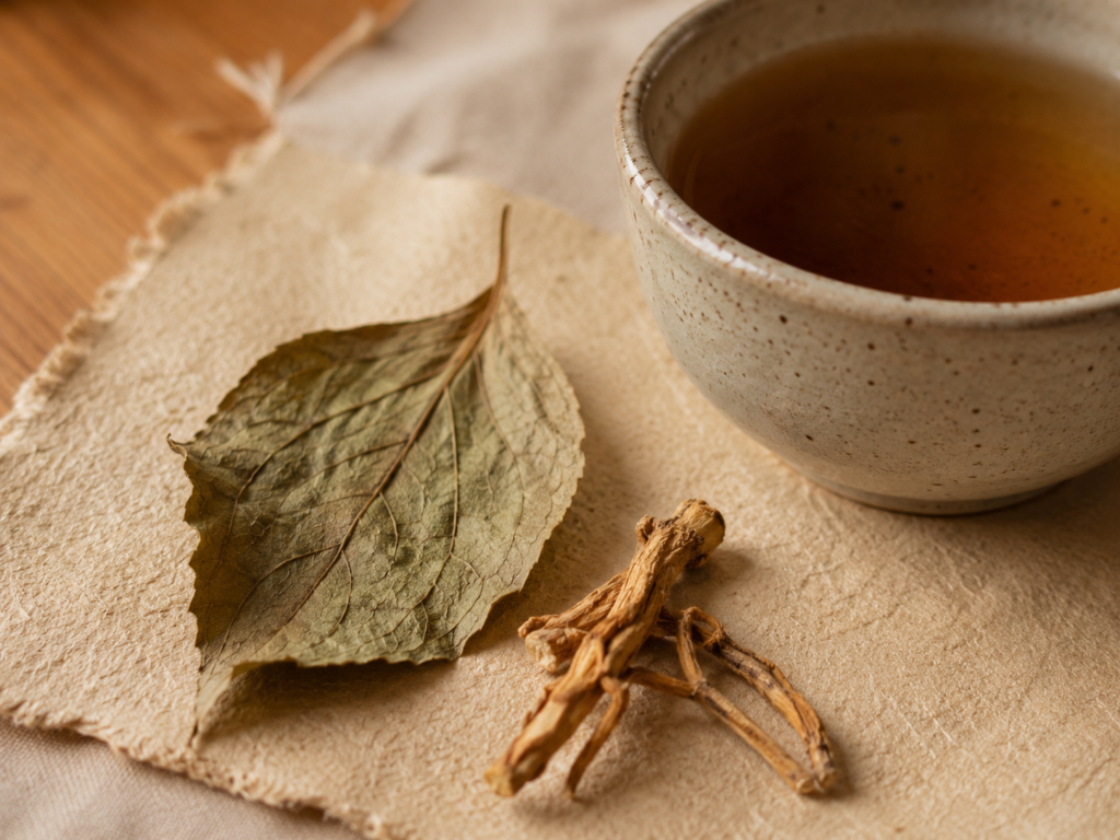 Dried botanical leaf and roots beside a cup of herbal tea